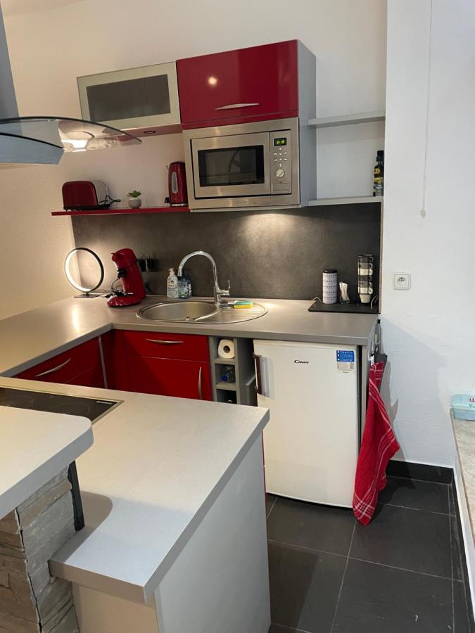 Apartment Chaleureux F2 Dans L'hypercentre Colmarien *